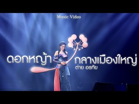 คอร์ดเพลง ดอกหญ้ากลางเมืองใหญ่ – ต่าย อรทัย | Popasia