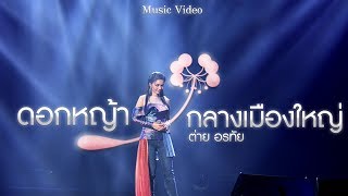 ดอกหญ้ากลางเมืองใหญ่ – ต่าย อรทัย