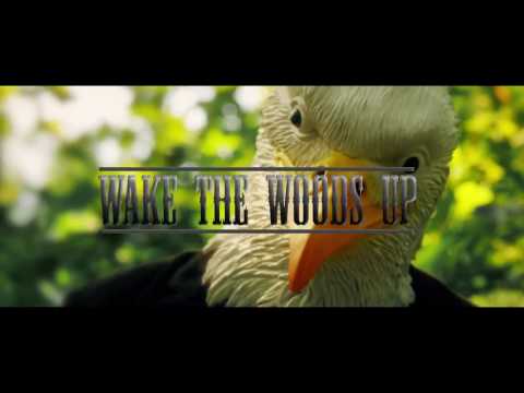 Dj Cannon Banyon, DJ KO, Camo Collins, Stephen Lemmons (Southern Country Muzik) - WAKE THE WOODS UP