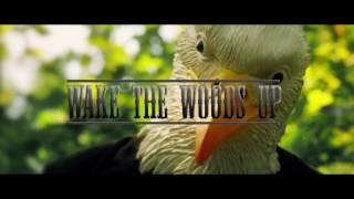 Dj Cannon Banyon, DJ KO, Camo Collins, Stephen Lemmons (Southern Country Muzik) - WAKE THE WOODS UP