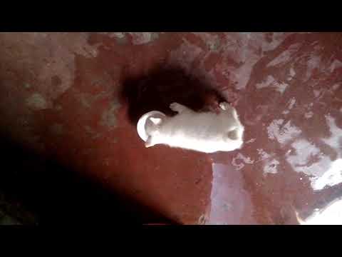 My cute angel 😇 having 2 months at that 👉 time I took this video😍😍😍😍😍😍😍😍