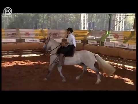 Sapucaia (RJ) – 3° lugar fêmeas – Lua de Mel do Recanto Crioulo (Mangueira II)