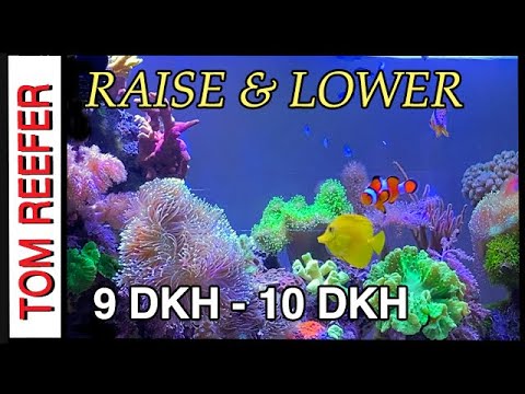 Alkalinity - How To Raise, Lower And  (BALANCE YOUR ALKALINITY)