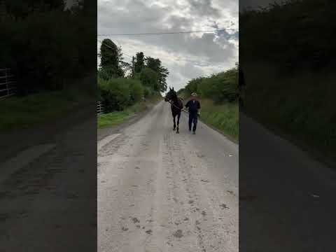 walking video