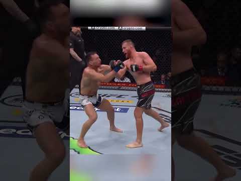 Feint Uppercut Knock Out #mma #muaythai #boxing #kickboxing