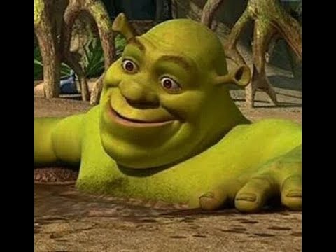 Nowi lokatorzy na socjalu