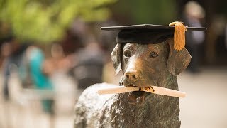 Spring 2017 Graduate Commencement Ceremony