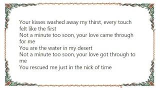 Vixen - Not a Minute Too Soon Lyrics