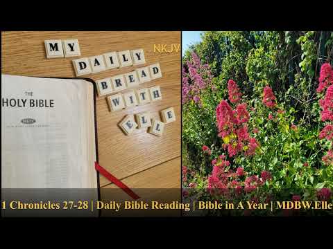 1 Chronicles 27 - 28 | Daily Bible Reading | Bible in A Year | MDBW.Elle #Bible #AudioBible #Gospel