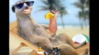 Tom Astor- Ich bin ein undressierter Mann