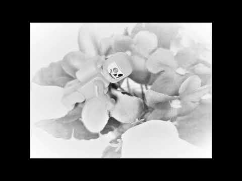 #0002 | Jimmy G & Special O ft. Sores - Zie (NL)