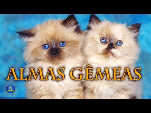 Hinário Adventista 447 - ALMAS GÊMEAS