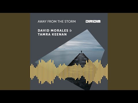 Away from the storm (DIRIDIM Mix)