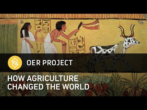The Neolithic Revolution: How Did Agriculture Change the World?