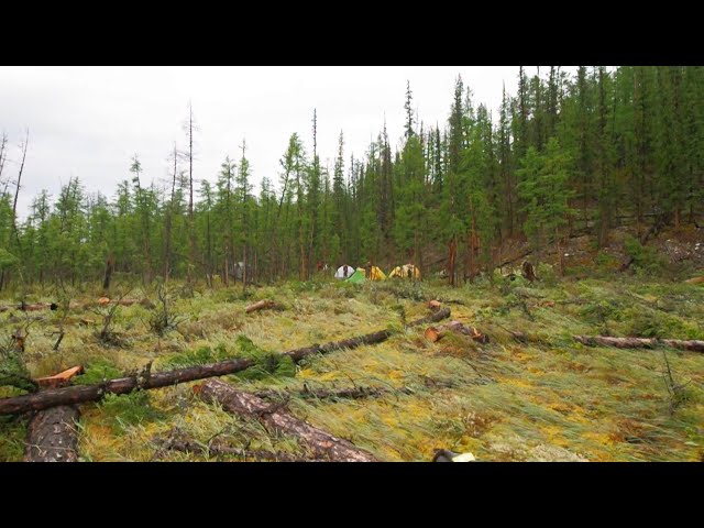 11 пожаров потушили в Приангарье