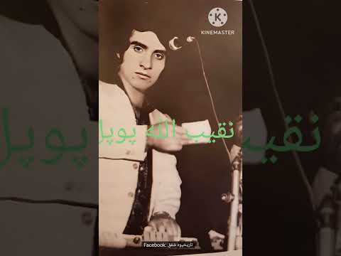 چي خبرسی څوک په خوند دميخانی..ځان به خاک کړي پر ګذر  دميخانی.. Obaidullah Jan Kandahri Song