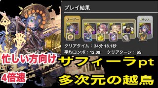 4倍速【34分18秒】サフィーラpt 多次元の越鳥　立ち回り。