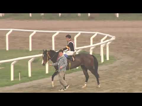 SINT COLONIA 230921 c08 - 1° SAETA