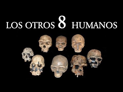 ¿Cuántas Especies de Humanos Existieron?