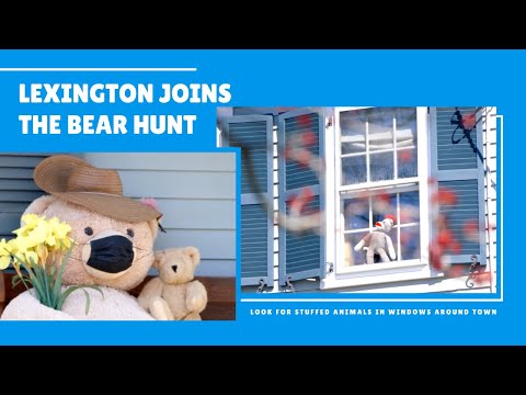 Lexington, MA Joins the Bear Hunt