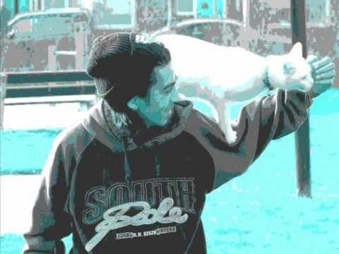 VRD8 ( Twixy , Smartie , Duitser ) - Kan je t vertelle ?