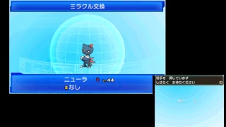 霧島悠一のポケモン育成＆レートライブ　とりま1600まで上げたい。