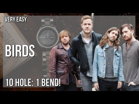 How to play Birds by Imagine Dragons on Diatonic Harmonica 10 Holes (Tutorial)
