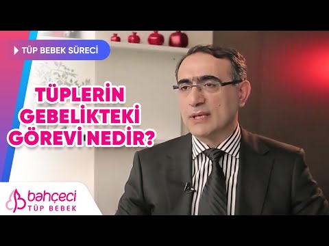 Tüplerin gebelikteki görevi nedir?