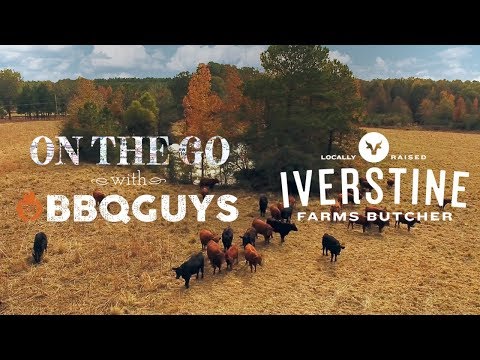 Smoked Pulled Pork Shoulder Recipe | On the Go with BBQGuys | Blaze Cast Aluminum Kamado Grill