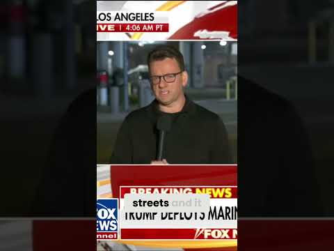 LAPD Response: Policing Streets & Arrests | Efficient Operation