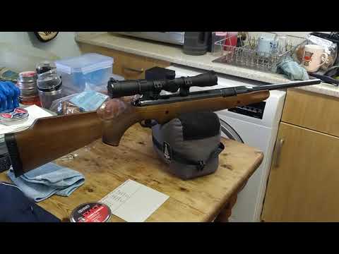 Air-Arms Pro-Sport  .22 Cal Short Review 24/10/2021