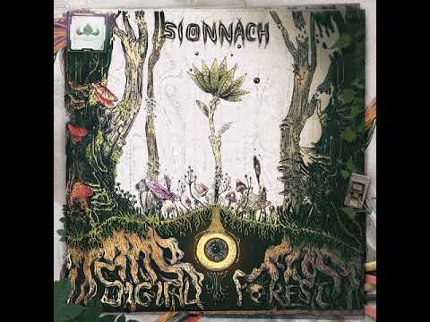 01 Sionnach - Spietrancing