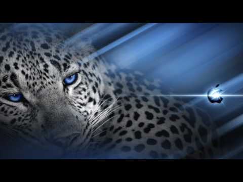 discothèque le diamonds funk partie 2 Bollene