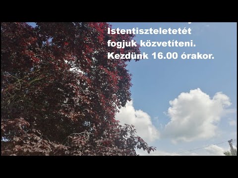 2020.08.01. A motiváció tisztasága