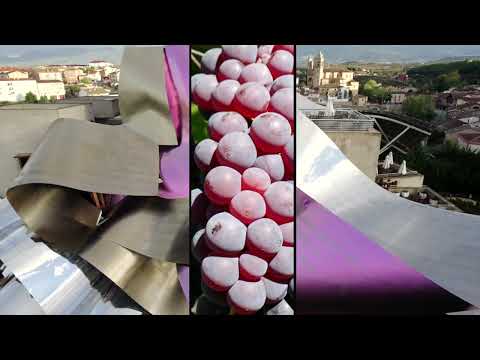 Bodegas Marques de Riscal