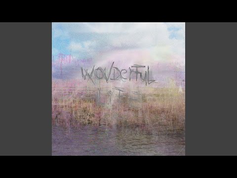 Wonderful Life