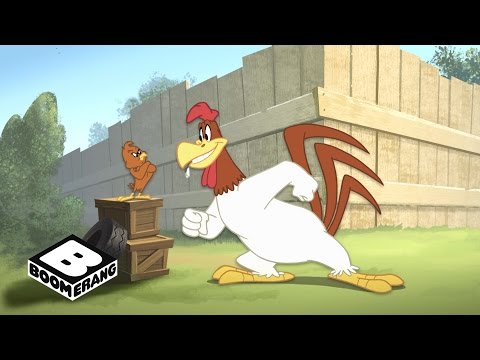 The Looney Tunes Show | Chicken Hawk Song | Boomerang
