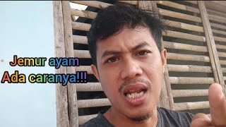 Download lagu Jemur ayam pelung sambil melatih mp3