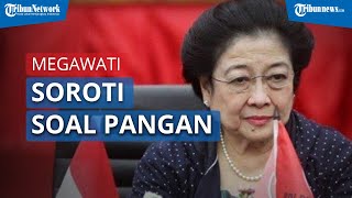 Megawati Soroti soal Pasokan Kebutuhan Pangan Masyarakat Indonesia