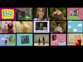 15 Elmo S World Videos At Once
