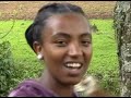 አስማማው በለው ጣስካሲምባዋ አዊ Asmamaw Belew Taskasimbao Awi