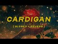 Don Toliver Cardigan Slowed Reverb Lyrics