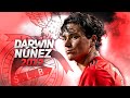 Darwin Núñez 2022 - Welcome to Arsenal? - Amazing Skills, Goals & Assists | HD
