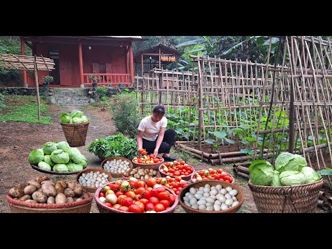 Mountain gardening: building organic vegetable gardens, planting and harvesting farm products.