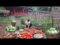 Mountain Gardening Building Organic Vegetable Gardens Planting And Harvesting Farm Products