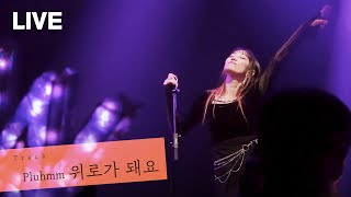 [LIVE] 핫펠트 HA:TFELT - 위로가 돼요 Pluhmm (2022.11.18 아메바위크 단독 콘서트 Orange Friday)