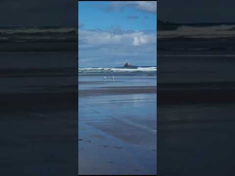 Muruwai Beach, Newzealand