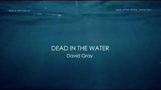 * Dead In The Water 432 Hz * David Gray * Lyrics