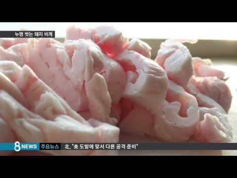 , title : '누명 벗는 돼지비계…불포화 지방산·비타민D 풍부 /SBS'