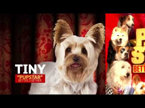 Interview with Tiny from Pup Star Better 2Gether!